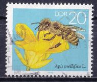 [Honey Bees, type DFT]
