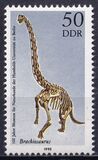 [The 100th Anniversary of the Natural History Museum, tip DGX]