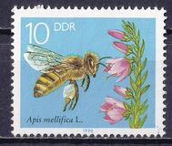 [Honey Bees, type DFS]