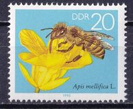 [Honey Bees, type DFT]