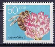 [Honey Bees, type DFU]
