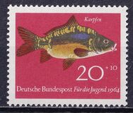 [Youth Health - Fish, 类型 IF]