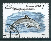 [Marine Mammals, type DAY]