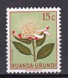 [Indigenous Flora, típus AX]