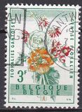 [Gent Flower Festival, type XS]