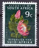 [Local Motifs, type LK1]