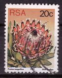 [Flora - Protea Plants, тип PR]