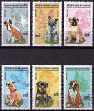 [Dogs, type ASF]