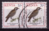 [Birds, type VD]