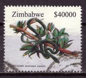 [Snakes of Zimbabwe, type VI]