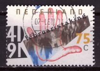 [The 50th Anniversary of the February Strikes, տեսակ AKA]