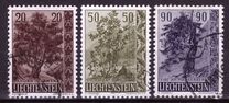 [Trees and Bushes, տեսակ KP]
