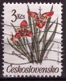[Flowers, tip CQP]