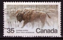[Endangered Wildlife, type AAE]