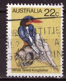 [Birds, Tipi TW]