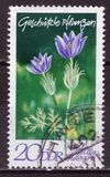[Protected Plants, type ASR]