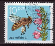 [Honey Bees, type DFS]