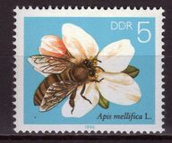 [Honey Bees, type DFR]