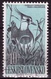 [Water Birds, タイプ ZA]