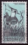 [Water Birds, タイプ ZA]