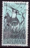 [Water Birds, タイプ ZA]