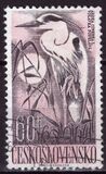 [Water Birds, タイプ ZB]