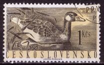 [Water Birds, タイプ ZC]