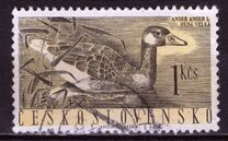 [Water Birds, タイプ ZC]