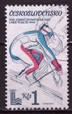 [Winter Olympic Games - Lake Placid, USA, Tipi BXN]