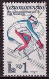 [Winter Olympic Games - Lake Placid, USA, Tipi BXN]