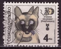 [Biennial Exhibition of Book Illustrations for Children, Bratislava, タイプ CAY]