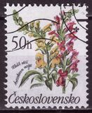 [Flowers, Tip CQN]