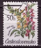 [Flowers, Tip CQN]