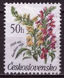 [Flowers, Tip CQN]