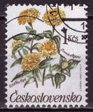 [Flowers, Tip CQO]