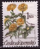 [Flowers, Tip CQO]