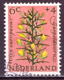 [Charity Stamps, type NU]