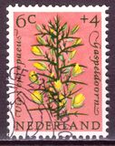[Charity Stamps, type NU]