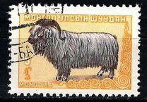 [Mongolian Animals, tegund CT]