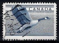 [Birds - Canada Goose, típus GD]