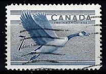[Birds - Canada Goose, típus GD]