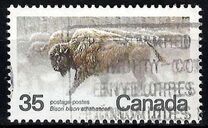 [Endangered Wildlife, type AAE]