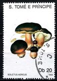 [Fungi, tyyppi AAZ]