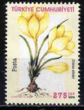 [Flowers - Crocuses, type CTH]