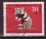 [Youth Hostel - Fur Animals, тип MM]