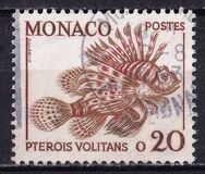 [Marine Life and Plants - Marine Life, typ ZE]