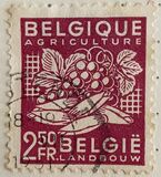 [National Industry - New values, tip NP1]