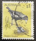 [Birds, Tip UK]