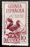 [Stamp Day - Birds, Brown-cheeked Hornbill, type BI1]