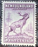 [Newfoundland Issue, type DS]